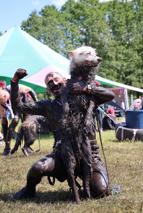 Организаторы экстремальных собачьих гонок в Старой Купавне планируют побить мировой рекорд